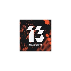 Reason 13 Perpetual License