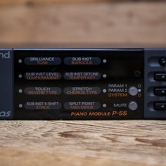 Roland P-55 Sound Canvas P55 Desktop Piano Module U284490