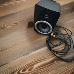 M-Audio BX5 Carbon Silver / Black Powered Studio Monitor Speaker