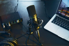 EM-91C Large-Diaphragm Condenser Microphone