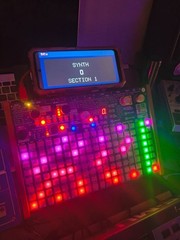 Synthstrom Deluge w/ DECKSAVER and OVERLAY and LOADED UP SD CARD Groovebox SYNTH