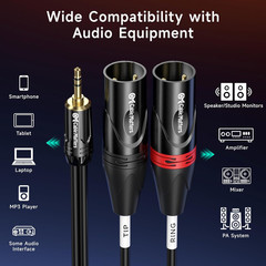 Cable Matters 3.5Mm 1/8 Inch TRS to 2 XLR Cable 3 Ft, Male to Male Aux to Dual