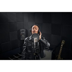 Rode NT1 Signature (Black) Mic + AI-1 USB Interface + Stand + Cans50 Headphones