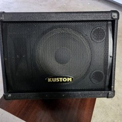 Kustom KSC10M 120 Watt 8 Ohm 10 Passive Speaker Tested.