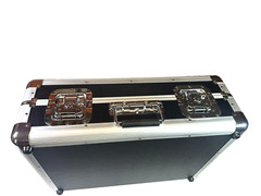 Alpha Theta Omnis Duo Controller Battery Operated with LASE Euro Style Case