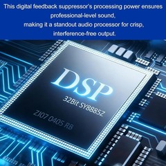 Professional Feedback Suppressor, Audio Processor, 6-In 6-Out Microphone Anti…