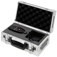 Se Electronics sE4100 Large-Diaphragm Cardioid Condenser Recording Microphone