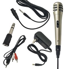 Rechargeable Guitar Amplifier Speaker 300W Combo MIC SD USB ECHO V4 w/ Bluetooth