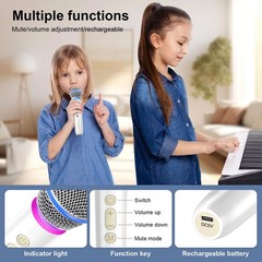 Wireless Microphone Rechargeable Receiver UHF Dynamic Handheld Mic 100ft Range