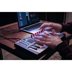 Novation FLkey 2 Mini 25 25-Key Mini MIDI Keyboard for FL Studio