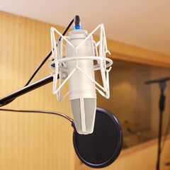 SUUNTOK Condenser Microphone XLR, Large Diaphgram Professional Recording Card…