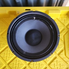 Eminence Beta-10CX 500W 10″ (254mm) 8 Ohm Loudspeaker