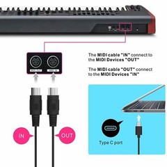 DOREMIDI MIDI to USB C Type-C Interface Cable Adapter 5 Pin Input&Output US