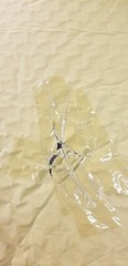 Near Perfect Gray 39x78x3 Self Adhesive Egg Crate Acoustic Foam Soundproofing