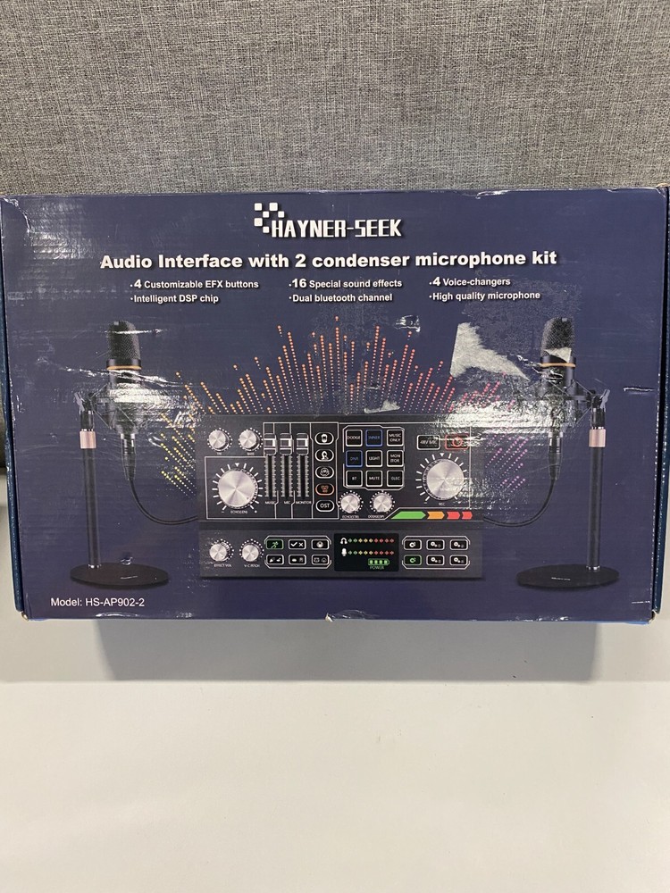 Hayner-Seek Audio Interface With 2 Condenser Microphone Kit