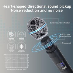 Loewieta Professional Wireless Microphone for Podcast, Karaoke & Black203