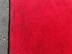 9FT 3×9 Red Carpet #2343 (One)THS