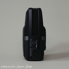 Zoom H2essential 32-Bit Float 2-Track Recorder three class directivity