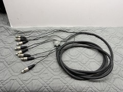 Redco TGS-8 12’ DB25 to 8 XLR Female Audio Snake Cable Neutrik Connectors