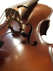 Feather French Cello Microphone with Flexible Gooseneck for Perfect Sound
