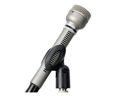Warm Audio WA-19N Dynamic Cardioid Studio Microphone (Nickel)