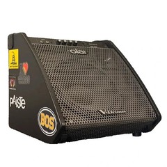 Used Roland PM200 Drum Amp – Good
