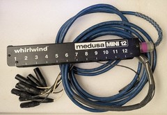 Whirlwind Medusa Mini 12 Low Profile Audio Drop Snake 25 ft – Black
