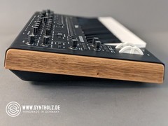 Side Panels / Side Panels (Inlays) for Moog Messenger