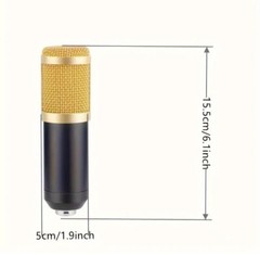 5 Core RM 8 BG Wired Professional Condenser Microphone Kit with Mixer