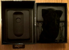 Samson – Meteor Mic – USB Studio Microphone for Computer Recording