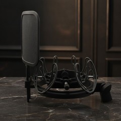 Microphone Shock Mount with Pop Filter Universal Shock Stand for Microphones …