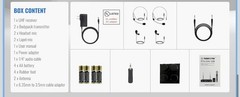 Phenyx Pro PTU-71 2B UHF Dual-Channel Wireless Headset Microphone System New