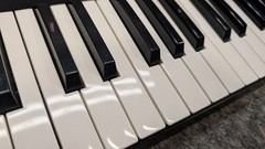 Akai Professional MPK49 – USB/MIDI Keyboard Controller – Popped Out F8 Lever
