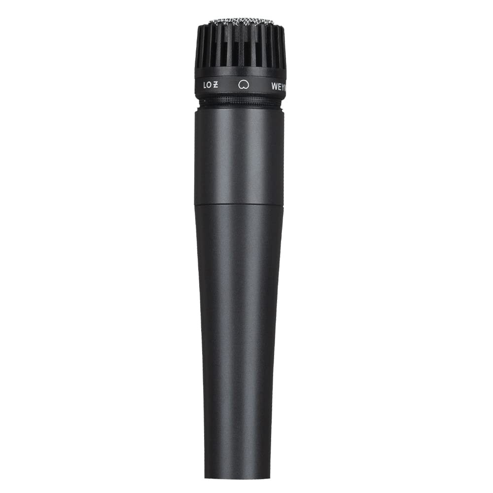 wm57 Dynamic Vocal Classic Style Microphone Audio Instrument Classic Professi…
