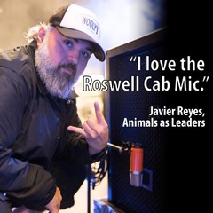 Roswell Pro Audio Cab Mic | Single-microphone solution for electric guitar