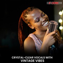5 Core Retro Dynamic Vocal Iconic Microphone Vintage Classic Unidirectional Mic