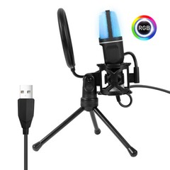 Microphone Mic Kit Broadcasting Singing Studio Recording Condenser USB PC Laptop
