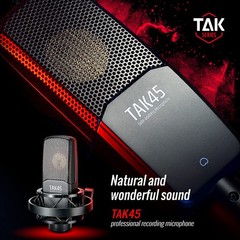 TAKSTAR XLR Condenser Microphone with 34mm Large Gold Plated Diaphragm, Singi…