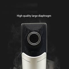 Sennheiser MK4 Large Diaphragm Condenser Microphone