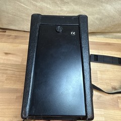 Anchor Audio Mini-Vox Wireless PB-25W PA System Tested