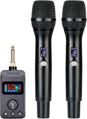 Rechargeable Dual Microphones with Receiver for Karaoke Singing Speech Church