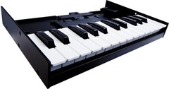 Roland Unit K-25m for Boutique Module New JAPAN