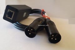 ProCo AoD Dante Audio to Analog Audio Adapter Dante Adapter