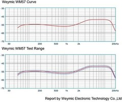 wm57 Dynamic Vocal Classic Style Microphone Audio Instrument Classic Professi…