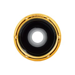 PRV D4400Ph-Nd v2 Phenolic 400 Watts 2″ Horn Driver Neodymium + WGP14-50 Gold
