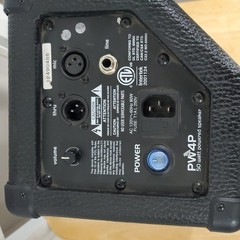 POWERWERKS PW4P 50w Stand Mount Personal Monitor