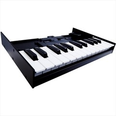 Roland K-25M Keyboard for Boutique Synth Modules