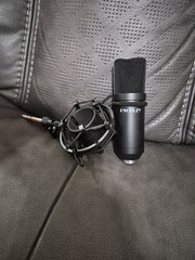 DSCHLZY Black Condenser Microphone, Wired XLR 3-Pin, Shock Mount