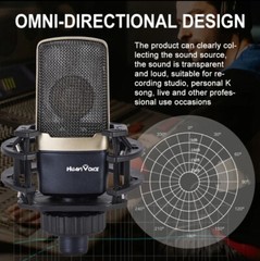 Condenser Microphone For Audio Recording and Singing with 48V Phantom