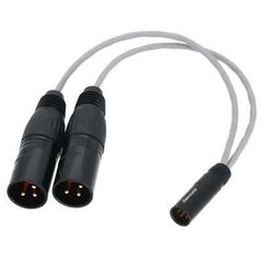 Mini XLR 5Pin TA5M to Dual Large XLR Male 3Pin 8” L-2B2AT Microphone Audio Cable